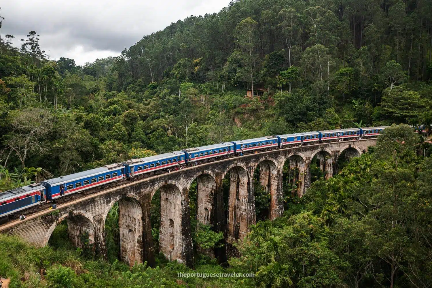 Nuwara Eliya and Ella hill country – tea plantations and scenic train ride private tour Sri Lanka